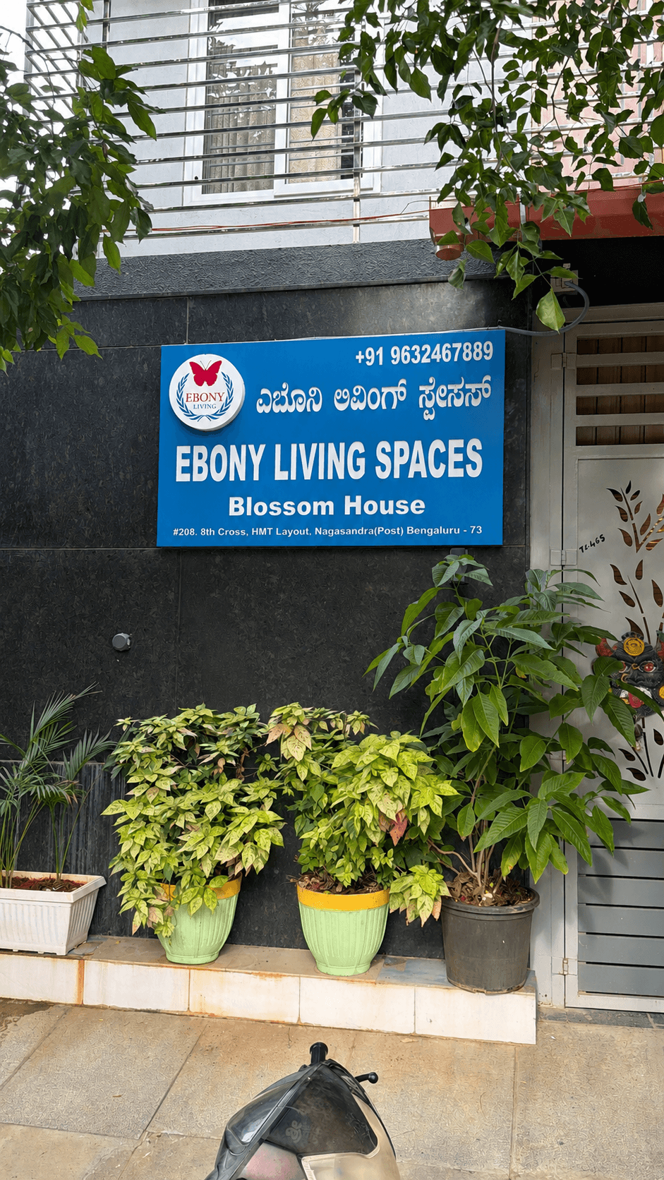 Blue Ebony Living Spaces Blossom House sign on a black wall above potted plants.